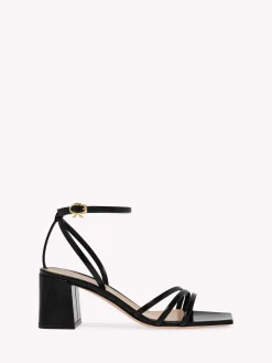 Sandals-Gianvito Rossi BRIELLE BLACK
