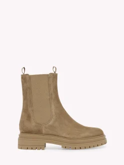 Booties-Gianvito Rossi CHESTER BROWN