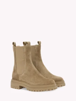 Booties-Gianvito Rossi CHESTER BROWN