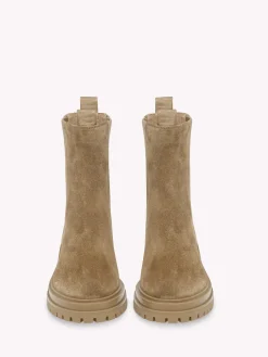 Booties-Gianvito Rossi CHESTER BROWN