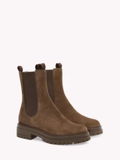 Booties-Gianvito Rossi CHESTER BROWN
