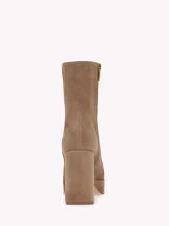 Booties-Gianvito Rossi DAISEN BROWN