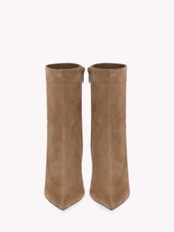 Booties-Gianvito Rossi DUNN BROWN