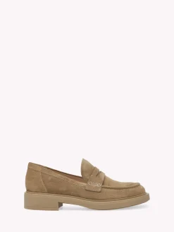 Flats-Gianvito Rossi HARRIS BROWN