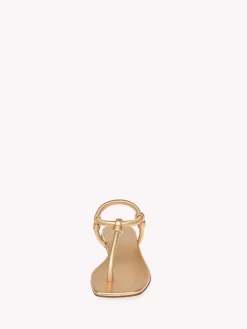 Flats-Gianvito Rossi JUNO THONG 05 GOLD