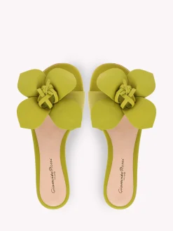 Flats-Gianvito Rossi LUCILLA 05 GREEN