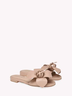Flats-Gianvito Rossi LUCILLA 05 PINK