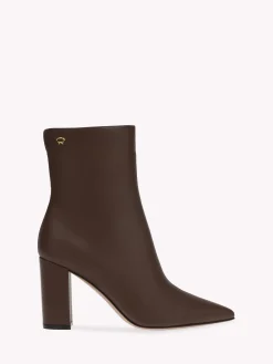 Booties-Gianvito Rossi LYELL BROWN