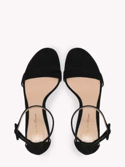 Sandals-Gianvito Rossi PORTOFINO 70 BLACK SUEDE
