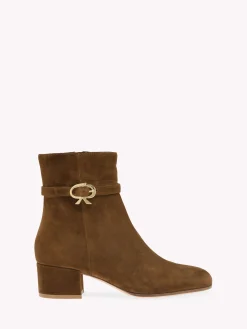 Booties|Ribbon-Gianvito Rossi RIBBON BOOTIE BROWN