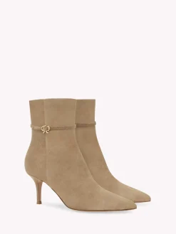 Booties-Gianvito Rossi RIBBON VILLE 70 BROWN