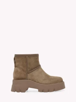 Booties-Gianvito Rossi STORMY BROWN