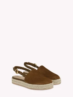 Flats-Gianvito Rossi TOLEDO DARK BROWN