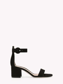 Sandals-Gianvito Rossi VERSILIA 60 BLACK SUEDE
