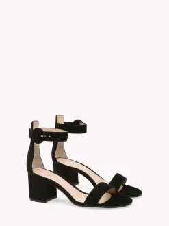Sandals-Gianvito Rossi VERSILIA 60 BLACK SUEDE