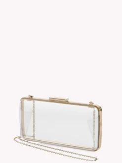 Bags|Plexi-Gianvito Rossi VETRA SILVER